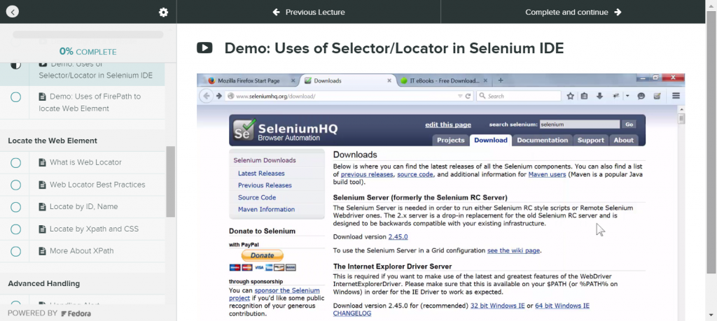 Selenium Selector Preview